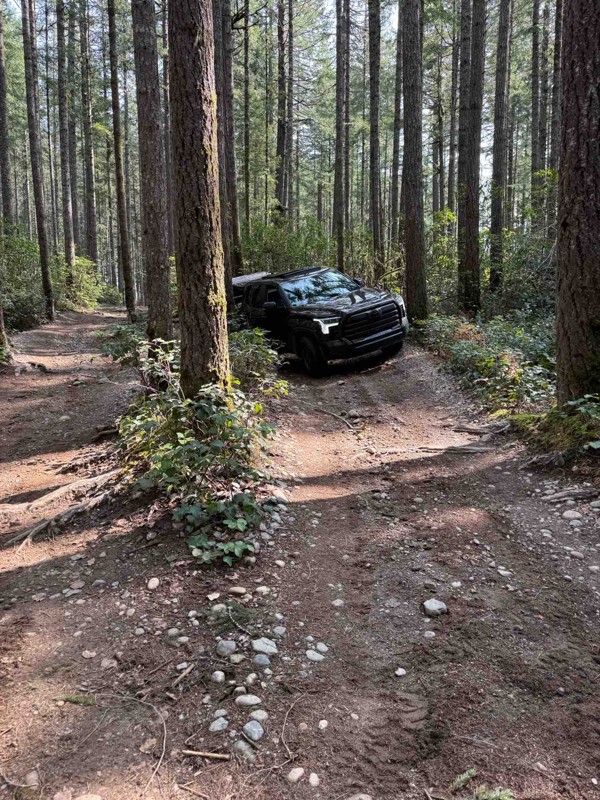 Tahuya 84N Trail Review Photo