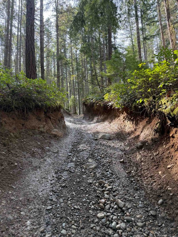 Tahuya 84N Trail Review Photo