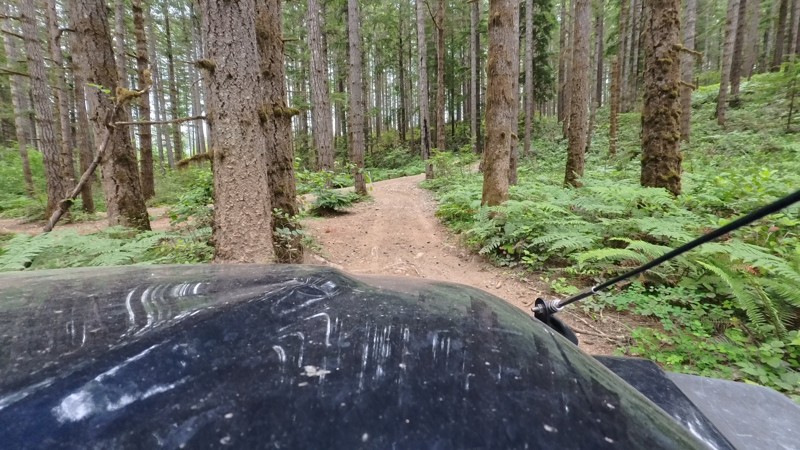 Tahuya 84N Trail Review Photo