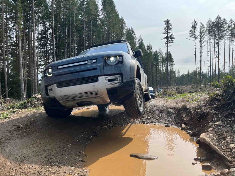 Tahuya/ South Loop Trail Review Photo