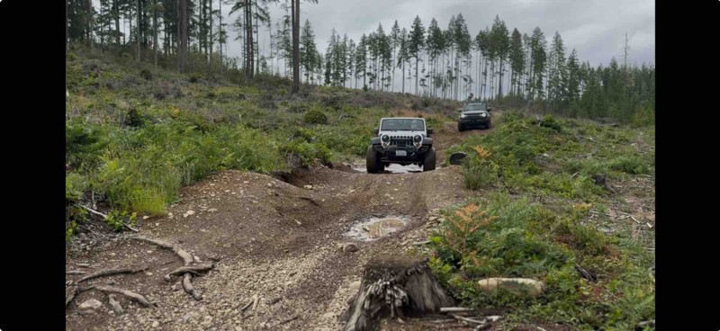 Tahuya/ South Loop Trail Review Photo