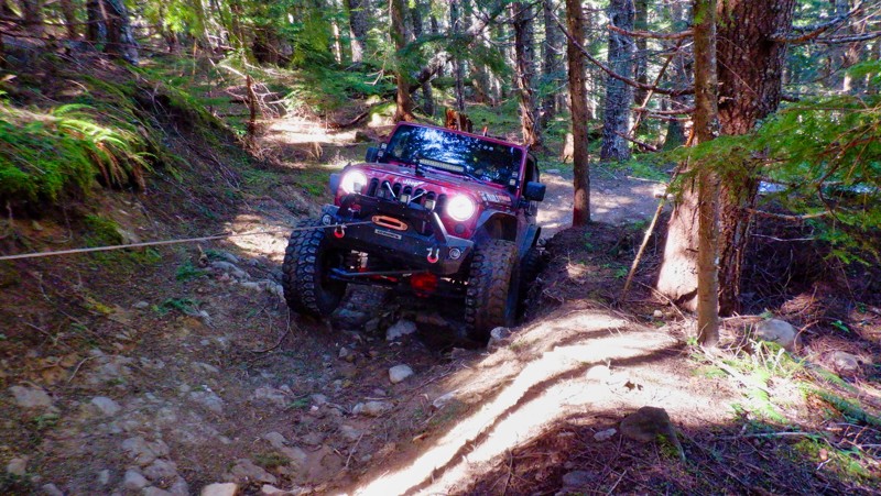 Washington: Evans Creek / Trail #199 Hero Photo