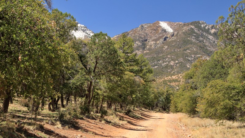 Arizona: Gardner Canyon Road Hero Photo