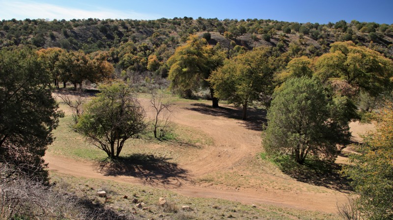 Gardner Canyon Road Trail Review Photo