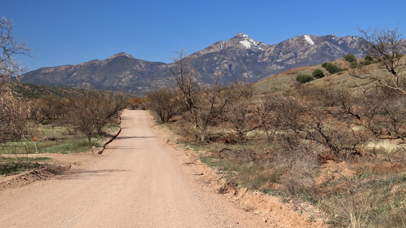 Gardner Canyon Road Trail Review Photo