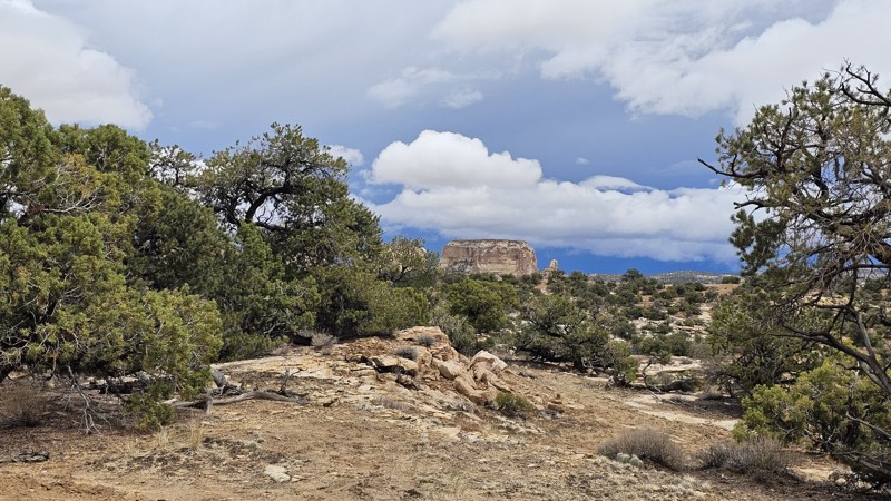 Eva Conover Trail Review Photo
