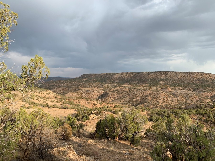 Trail Review: Rimrocker - Christopher Bowman