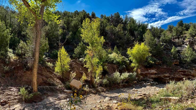 Rimrocker Trail Review Photo