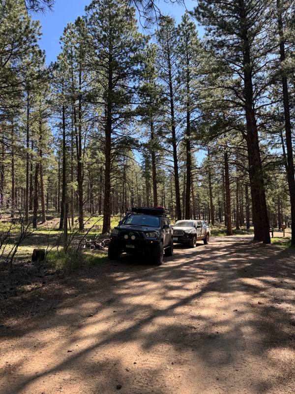 Rimrocker Trail Review Photo