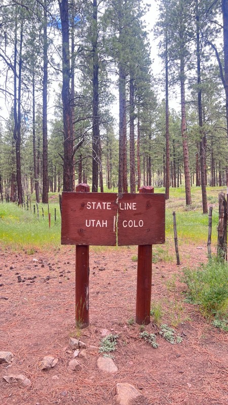 Rimrocker Trail Review Photo