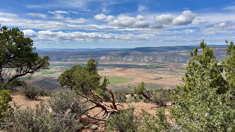 Rimrocker Trail Review Photo