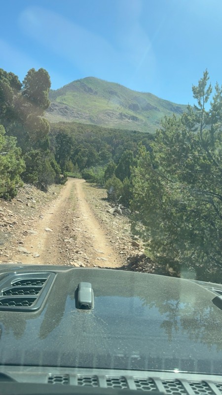 Rimrocker Trail Review Photo