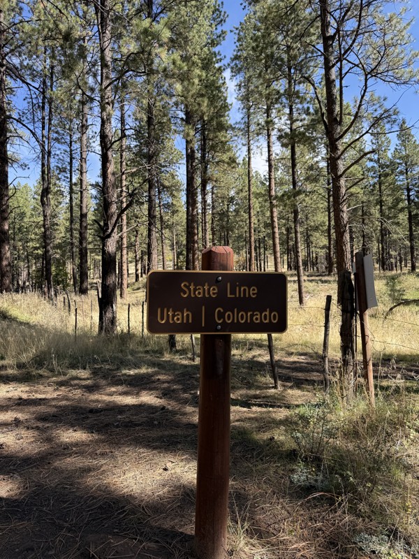 Rimrocker Trail Review Photo