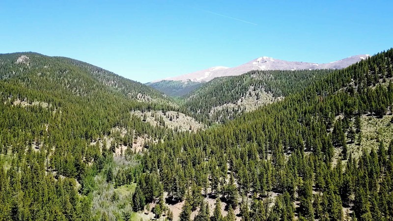 Colorado: Fourmile Area: Fourmile Creek Hero Photo