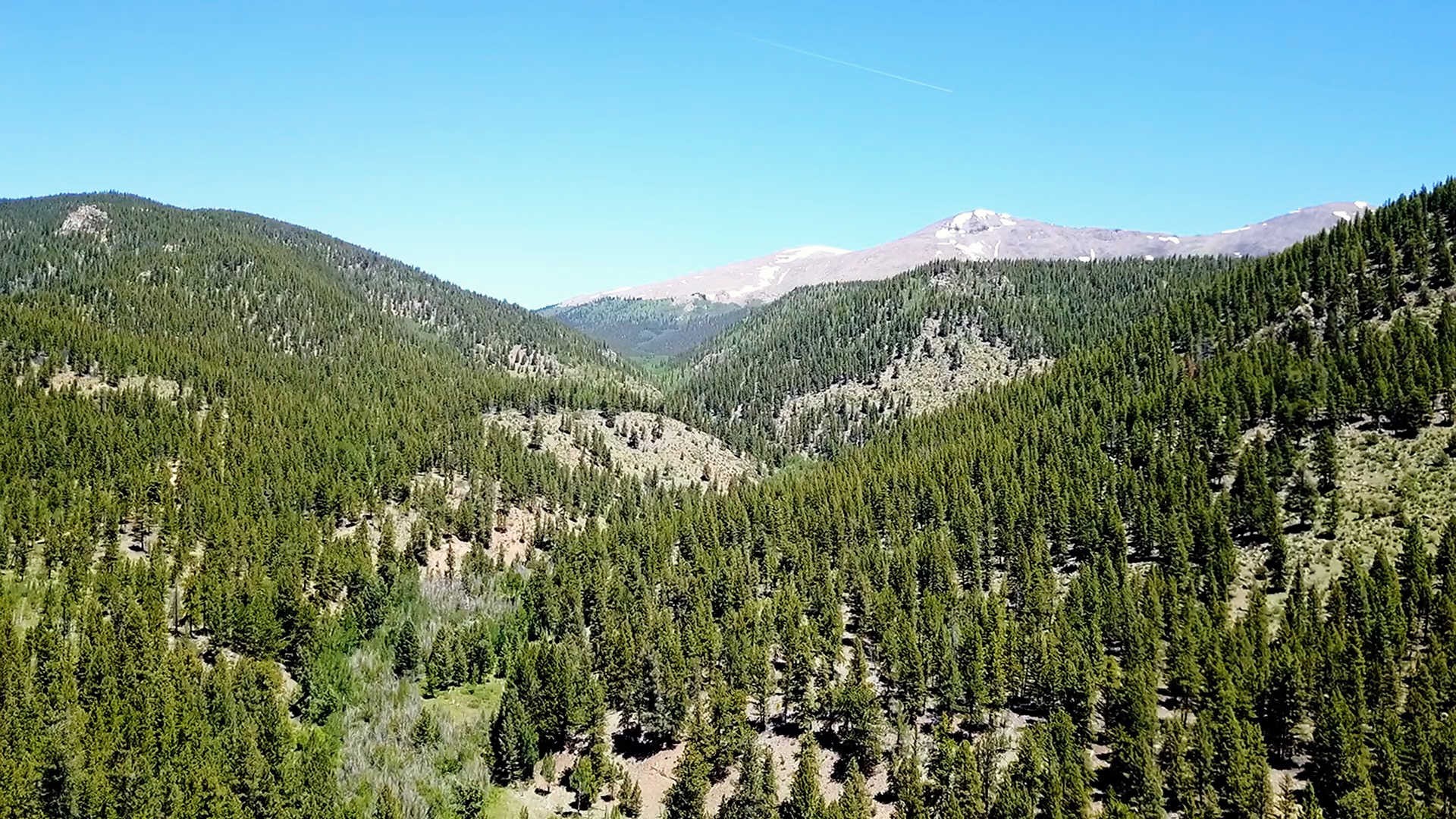 Fourmile Area: Fourmile Creek, Colorado | GPS Map, Photos & Reviews
