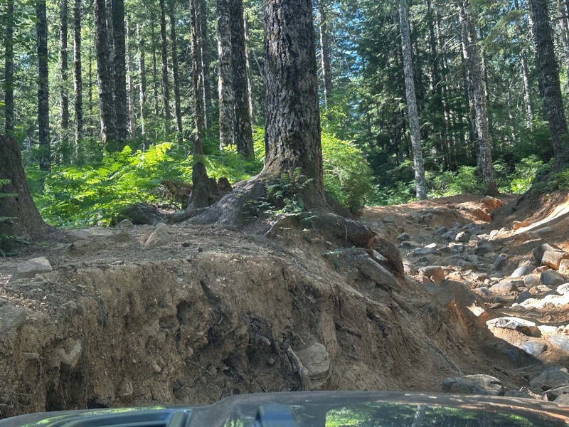 Firebreak Five Trail Review Photo