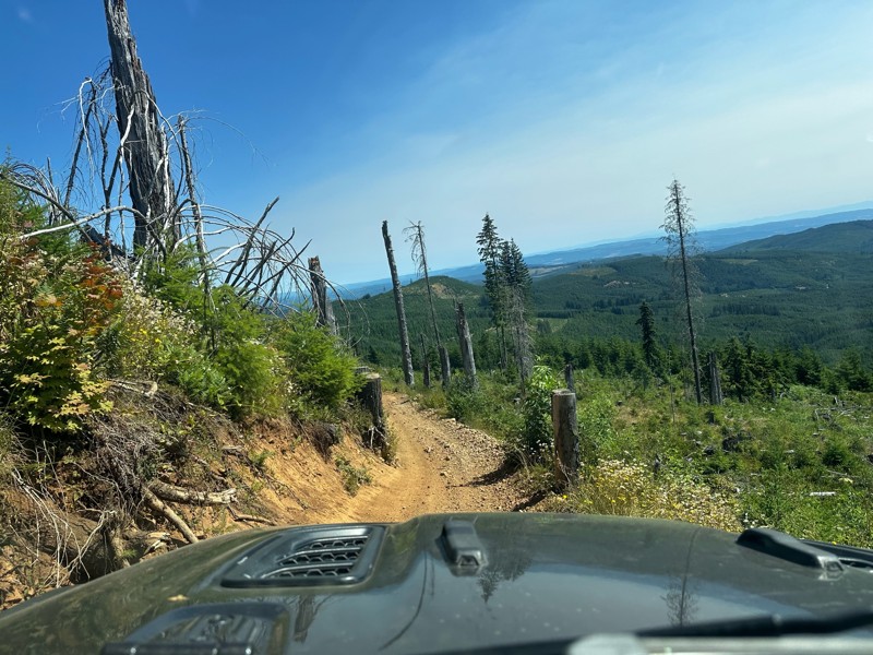 Cedar Tree Trail Review Photo