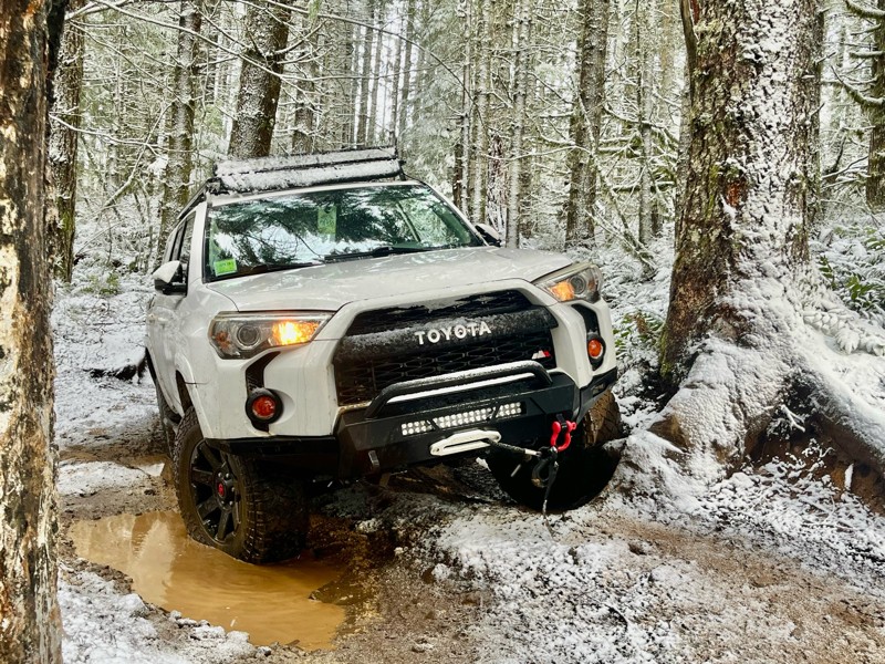 Cedar Tree Trail Review Photo