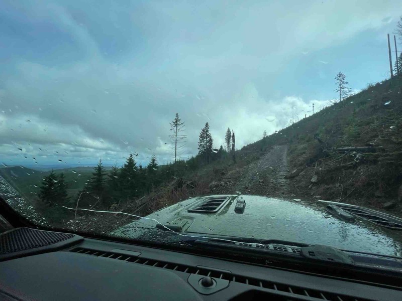 Cedar Tree Trail Review Photo