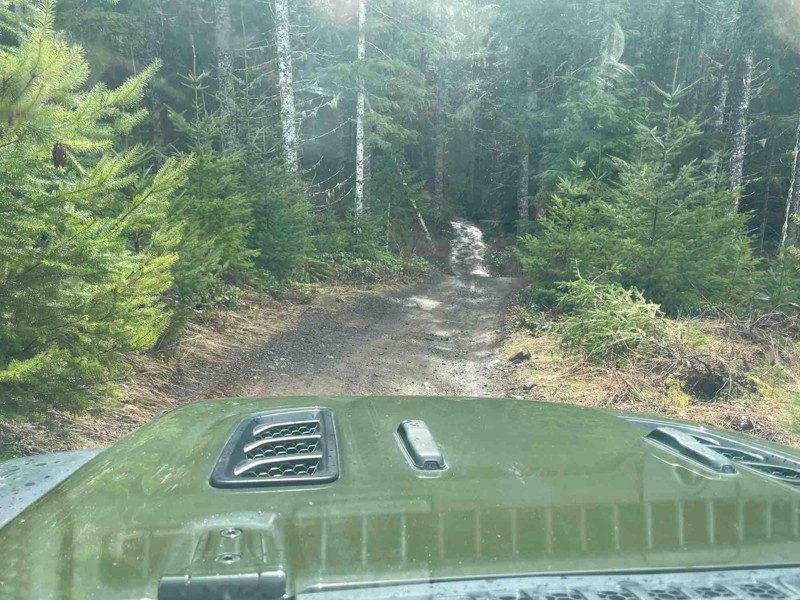 Cedar Tree Trail Review Photo