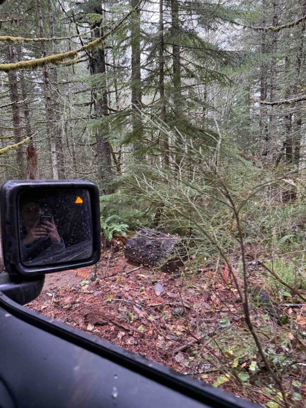 Cedar Tree Trail Review Photo