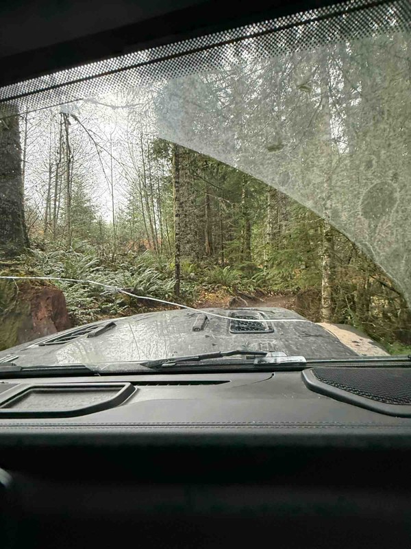 Cedar Tree Trail Review Photo