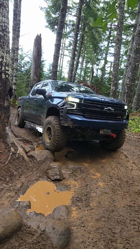 Cedar Tree Trail Review Photo