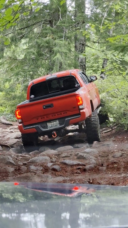 Cedar Tree Trail Review Photo