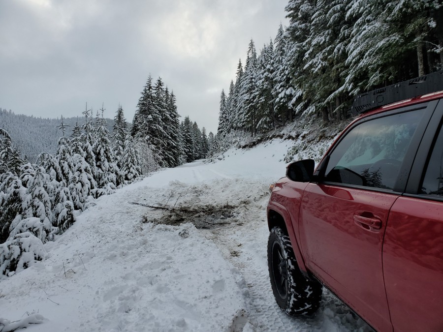 Trail Review: NF-7030 to Stampede Pass - Jared Botteron