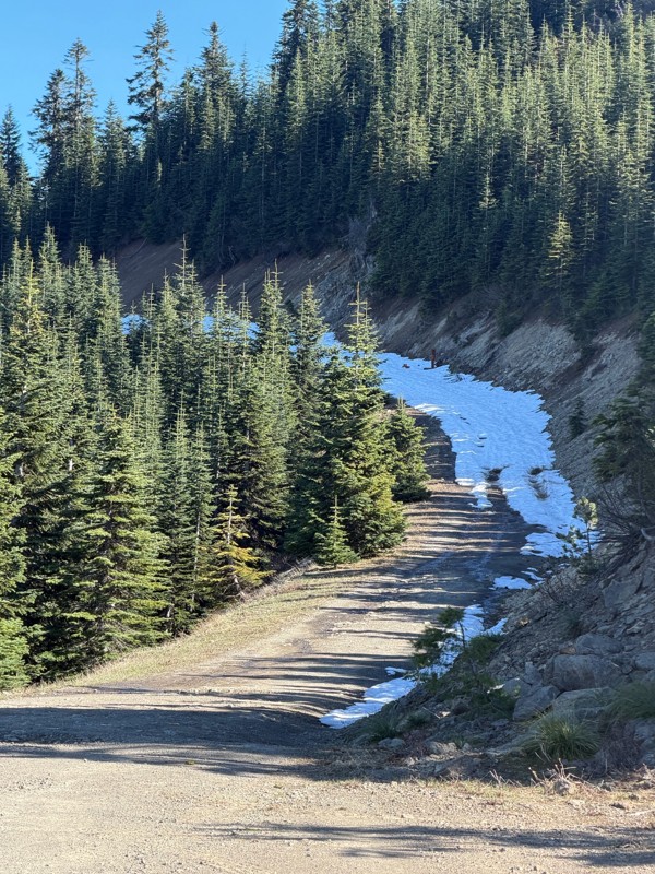 Stampede Pass Trail Review Photo
