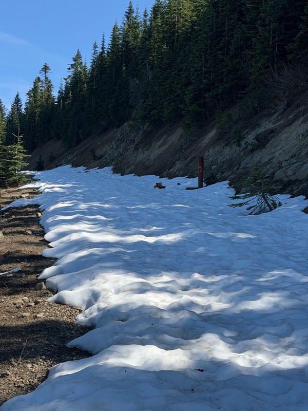 Stampede Pass Trail Review Photo