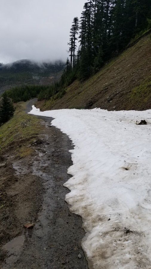 Trail Review: NF-7030 to Stampede Pass - Jason H Martin