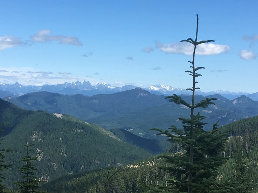 Trail Review: NF-7030 to Stampede Pass - Rob Kaimakis
