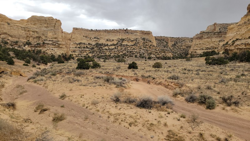 North Fork of Coal Wash Trail Review Photo
