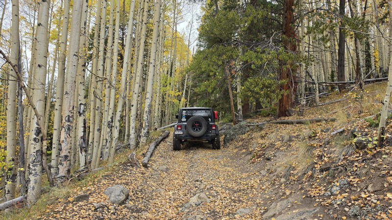 Holy Cross City Trail Review Photo