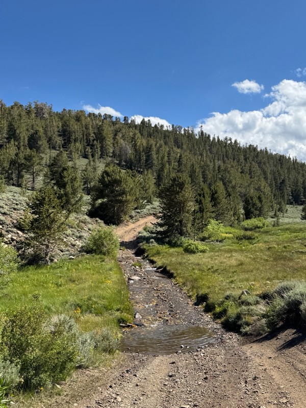 Coyote Valley Road Trail Review Photo