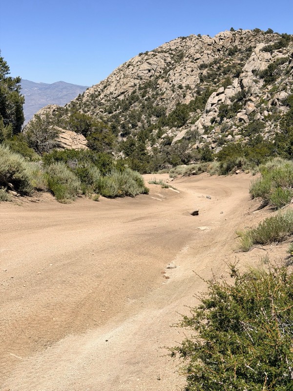 Coyote Valley Road Trail Review Photo