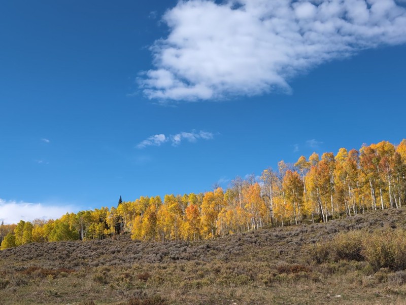 Little Muddy Creek Trail Review Photo