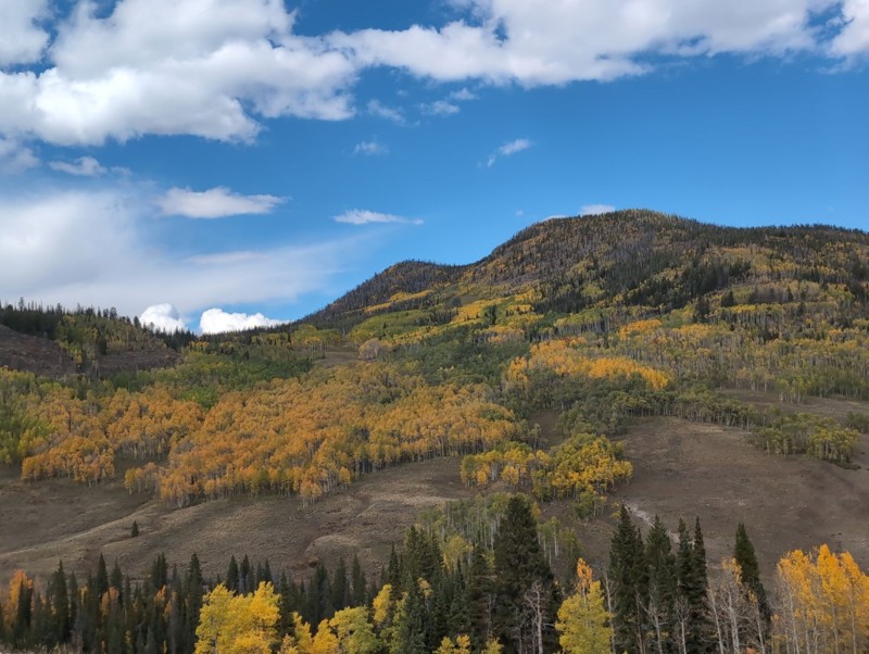 Little Muddy Creek Trail Review Photo