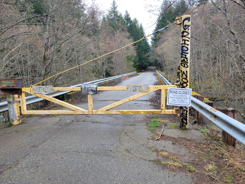 Midnight Creek Trail Review Photo