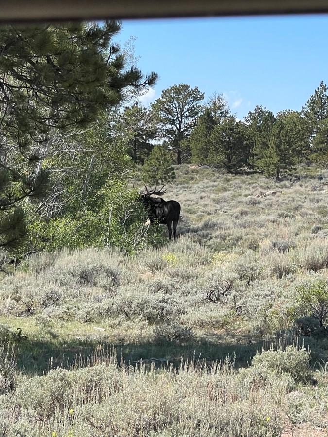 Crow Creek Road Trail Review Photo