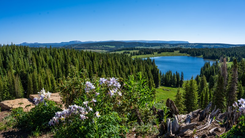 Colorado: White Owl Lake Hero Photo