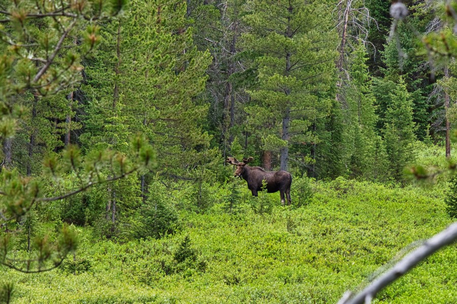 Trail Review: Bockman Road - Cory Christensen
