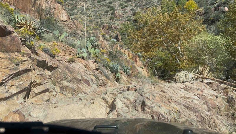 Sunflower Mine Loop Trail Review Photo