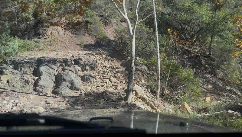 Sunflower Mine Loop Trail Review Photo