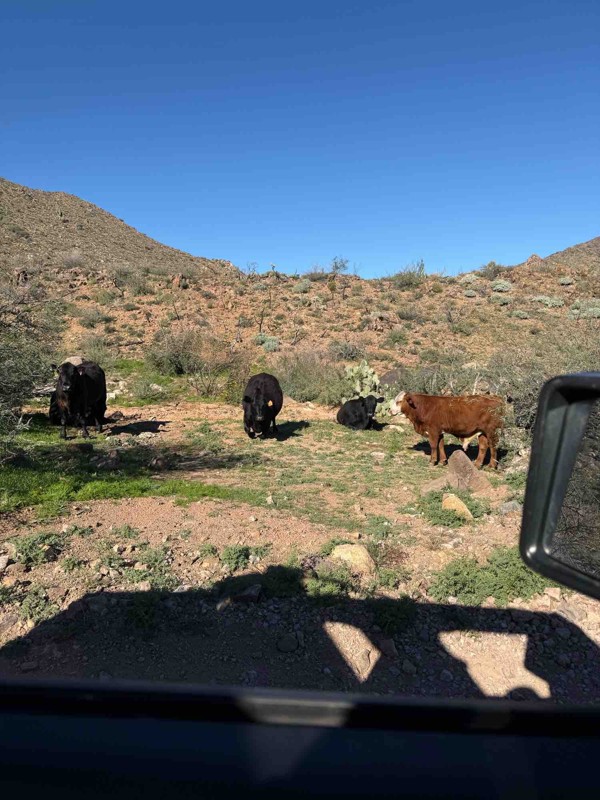 New River Canyon Trail Review Photo