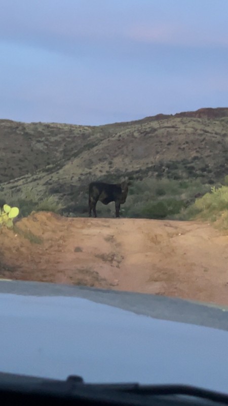 New River Canyon Trail Review Photo