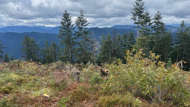 Sun Top Lookout Trail Review Photo