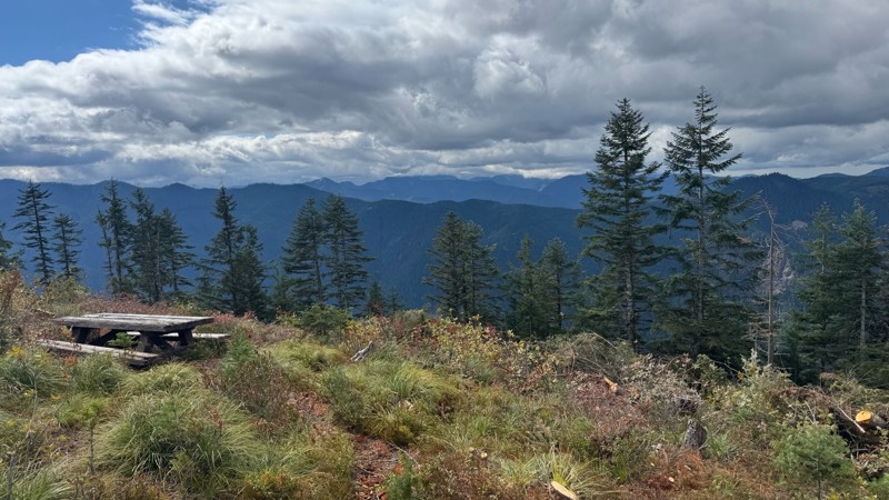 Sun Top Lookout Trail Review Photo