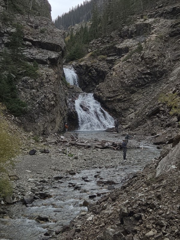 Schofield Pass Trail Review Photo
